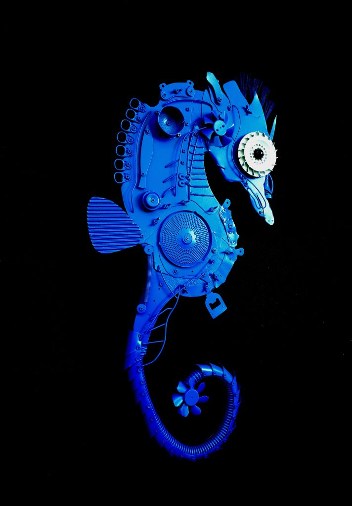 The Blue Seahorse