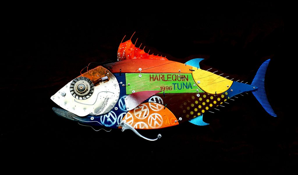 Harlequin Tuna
